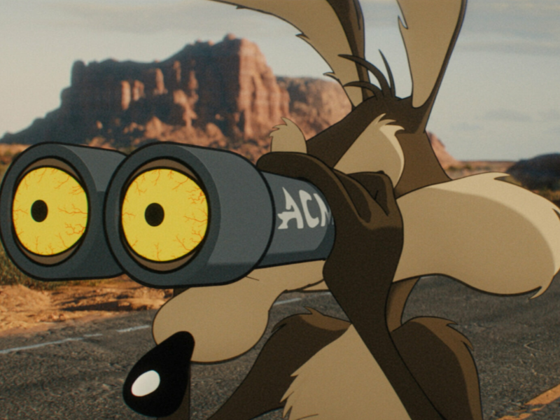 Coyote vs Acme